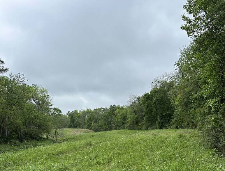 More Photos Of 0 County Road 4876, Dayton Land For Sale