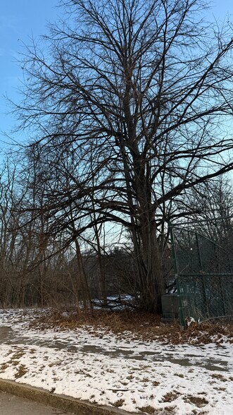 More Photos Of , Albany Land For Sale