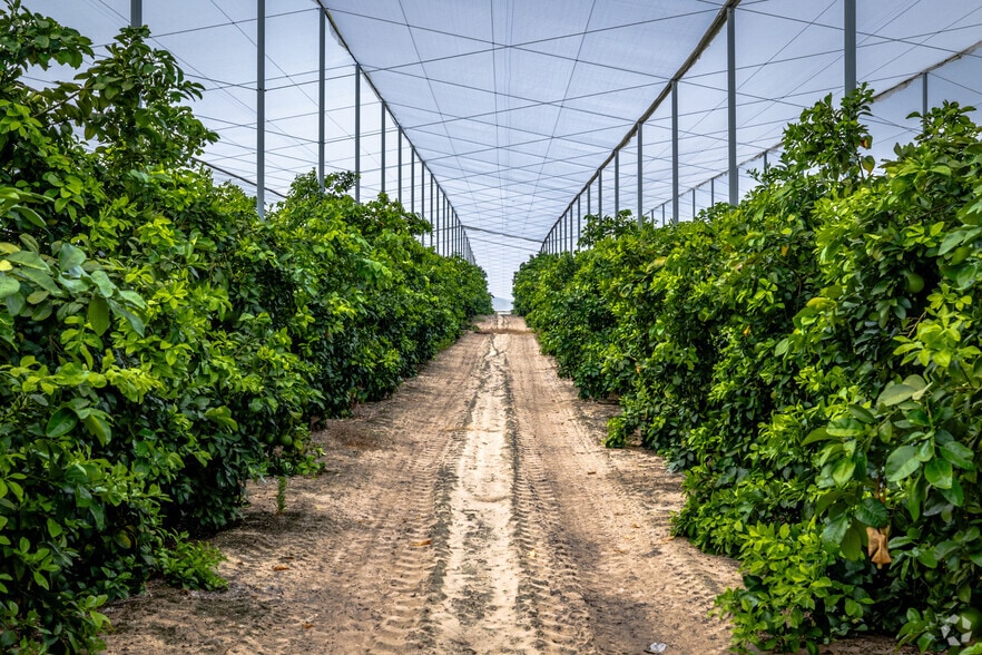 More Photos Of 2050 80 Foot Rd, Bartow Land For Sale