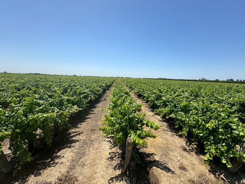 More Photos Of 25203 Road 212, Lindsay Land For Sale