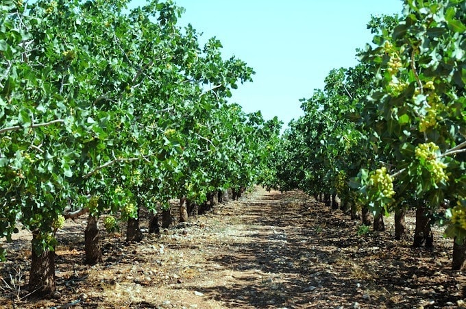 More Photos Of 7288 Hwy 54, Alamogordo Land For Sale