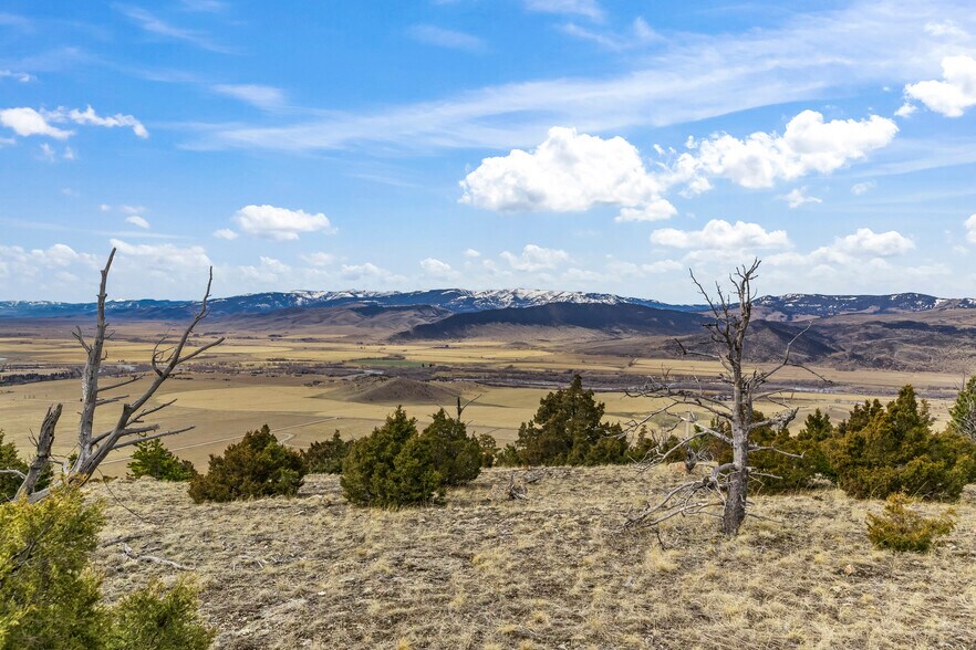 More Photos Of NHN (Parcel A-2) Suce Creek Road, Livingston Land For Sale