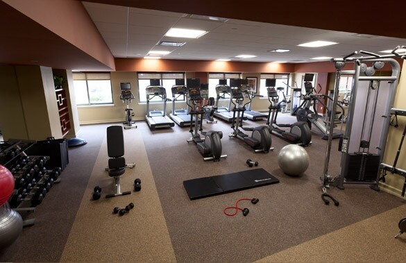 More Photos Of 340 St. Nicholas Ave, New York Apartments For Lease