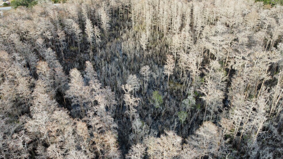 More Photos Of 18610 US Highway 19, Hudson Land For Sale