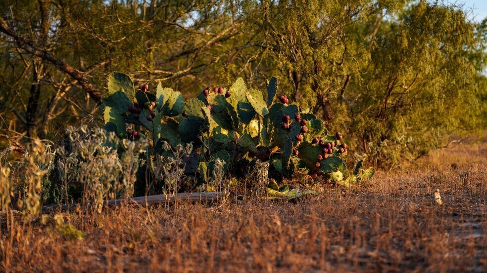 More Photos Of 879 County Road 421, Gonzales Land For Sale