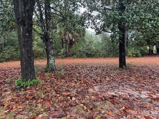 More Photos Of 835 US Highway 331 S, Defuniak Springs Office Residential For Sale