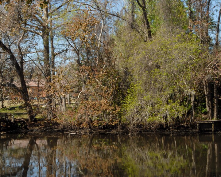 More Photos Of 8810 Goodbys Executive Dr, Jacksonville Medical For Sale