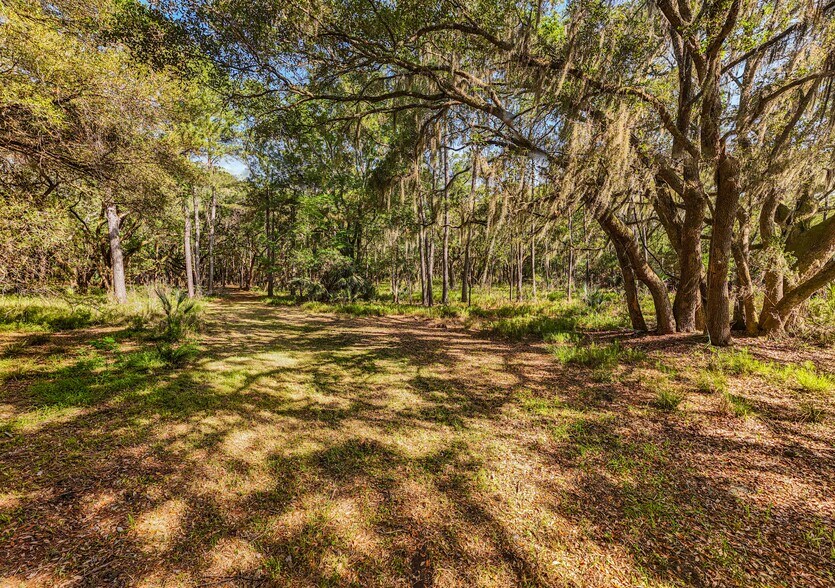 More Photos Of 0 King Rail Lane, Edisto Island Land For Sale