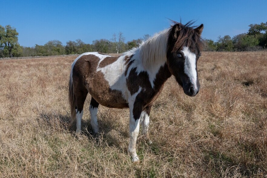 More Photos Of 2004 Caldwell Ln, Del Valle Land For Sale