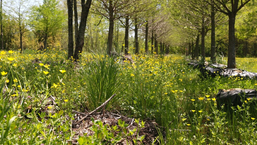 More Photos Of 500 Tree Farm Rd, Garvin Land For Sale