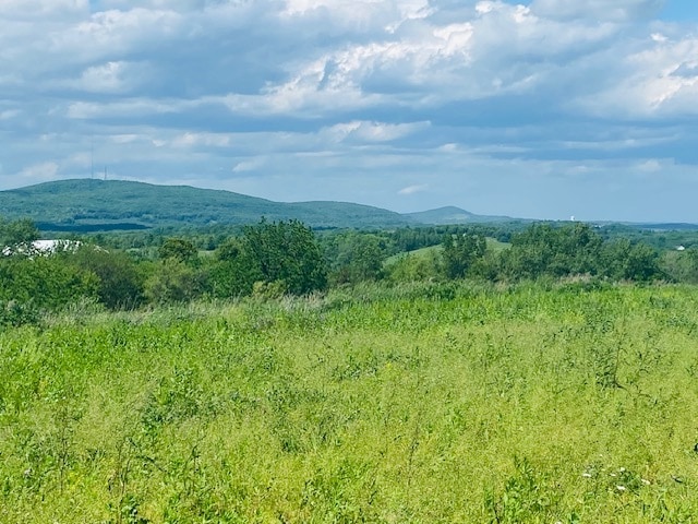 Primary Photo Of 00 Clarks Lane, Milton Land For Sale