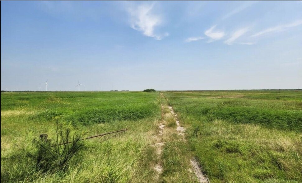More Photos Of 28689 FM106, Rio Hondo Land For Sale
