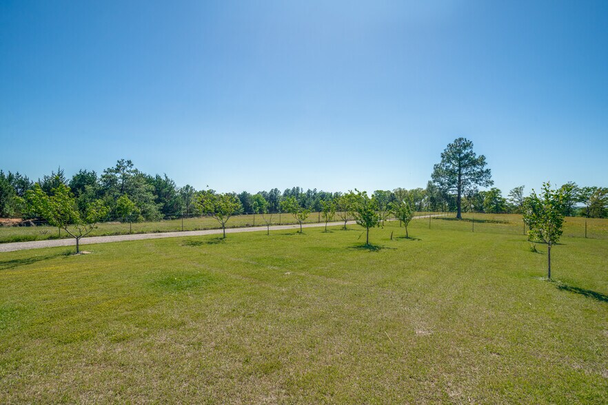 More Photos Of 300 VZ County Road 4718, Murchison Land For Sale