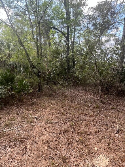 More Photos Of 0 Camellia, Crystal River Land For Sale
