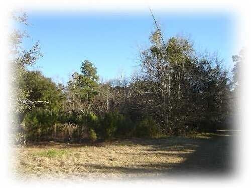 Primary Photo Of 2525 Highway 17A, Summerville Land For Sale