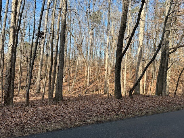 More Photos Of 00 Ash St, Canton Land For Sale