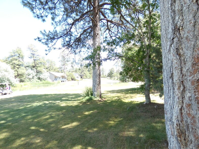 More Photos Of 541 N Clark Rd, Show Low Office For Lease