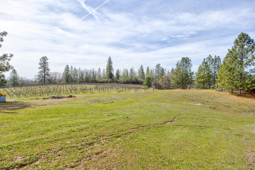 More Photos Of 4771 Greenhills Rd, Placerville Winery Vineyard For Sale