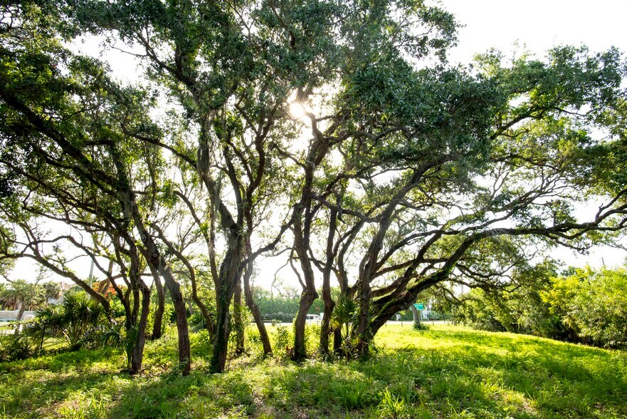 More Photos Of 2135 Florida A1A, Vero Beach Land For Sale