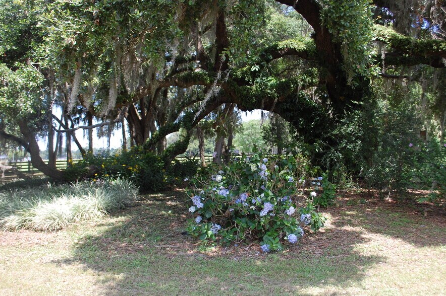 More Photos Of 18811 SE 243rd St, Hawthorne Specialty For Sale