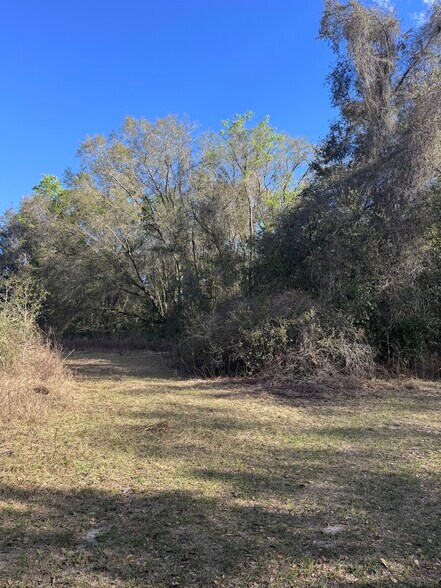 More Photos Of 16982 SE Highway 42, Weirsdale Land For Sale