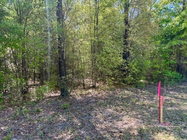 More Photos Of 000 Tanglewood Trail, Georgetown Land For Sale