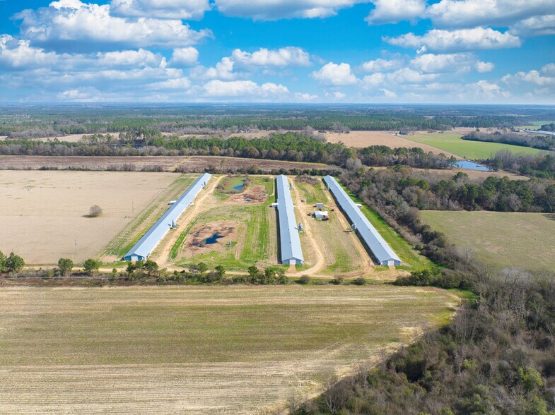 More Photos Of 441 Weaver Rd, Moultrie Land For Sale