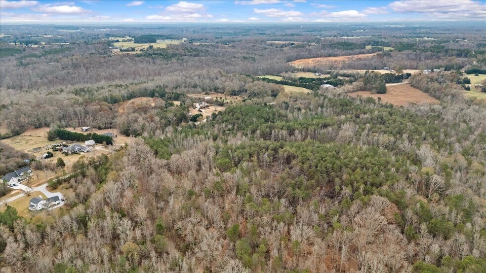 More Photos Of 2016 Hwy 417, Woodruff Land For Sale