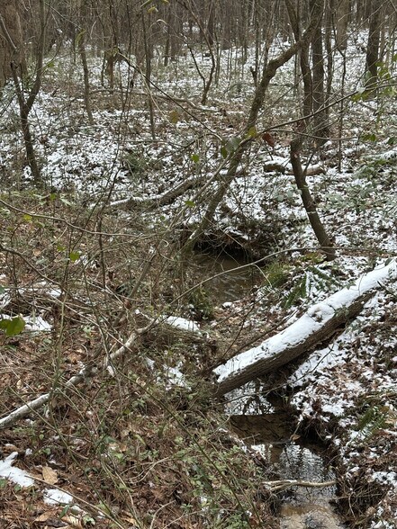 More Photos Of 3900 S Rockbridge Rd, Stone Mountain Land For Sale