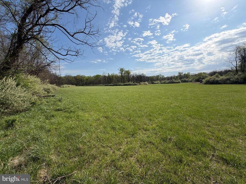 More Photos Of 10068 Harry Byrd Hwy, Berryville Land For Sale