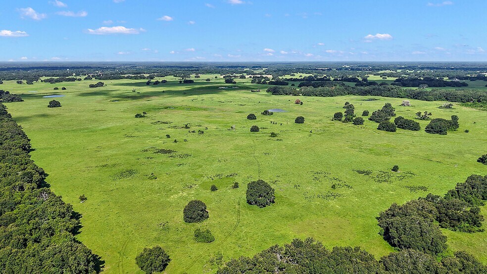 More Photos Of 8919 State Road 471, Webster Land For Sale