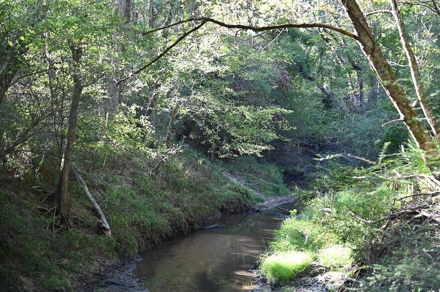 More Photos Of Jozwiak Ln, Hempstead Land For Sale