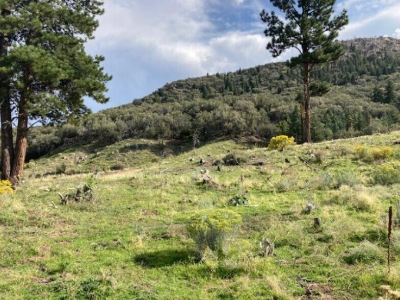 More Photos Of 200 325 S, Pine Valley Land For Sale