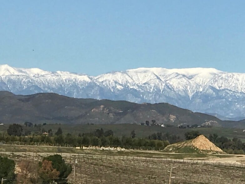 More Photos Of 41220 Calle Contento, Temecula Winery Vineyard For Sale