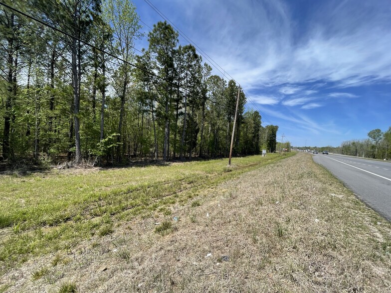 Primary Photo Of US Highway 231, Montgomery Land For Sale