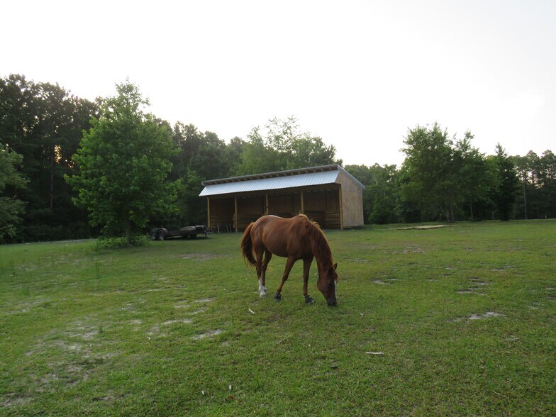 More Photos Of 4013 Thomas Rd, Little River Horse Stables For Sale