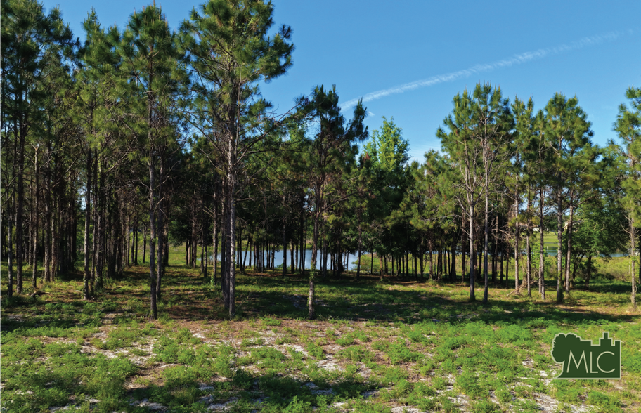 More Photos Of 9717 Morton Jones rd, Gotha Land For Sale
