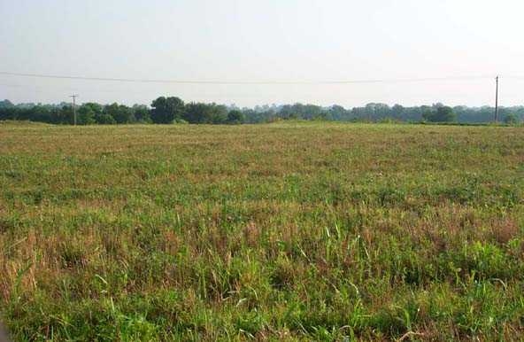 Primary Photo Of Boone Station Rd @ Lot 6, Shelbyville Land For Sale