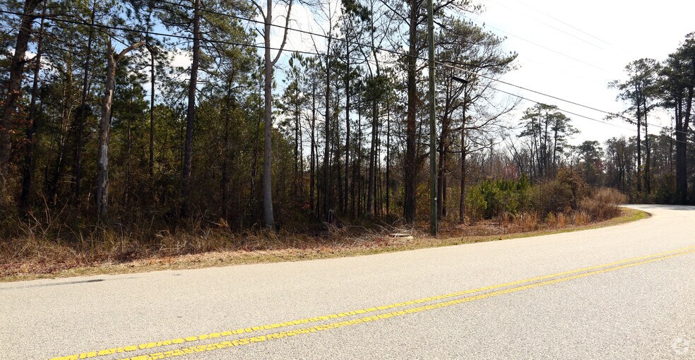 More Photos Of 0 Chris Cir, West Columbia Land For Sale