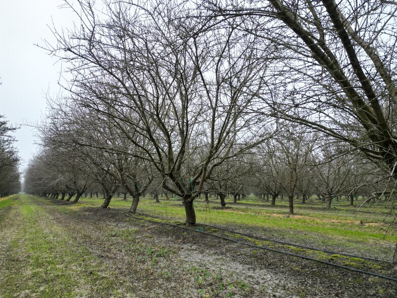 More Photos Of 8350 17 1/2 Avenue, Lemoore Land For Sale