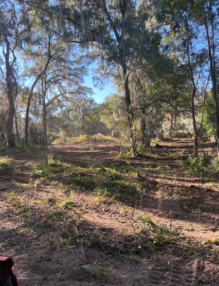 More Photos Of 785 & 935 N Independence Hwy, Inverness Land For Sale