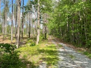 More Photos Of TBD Courthouse Rd, Sutherland Land For Sale