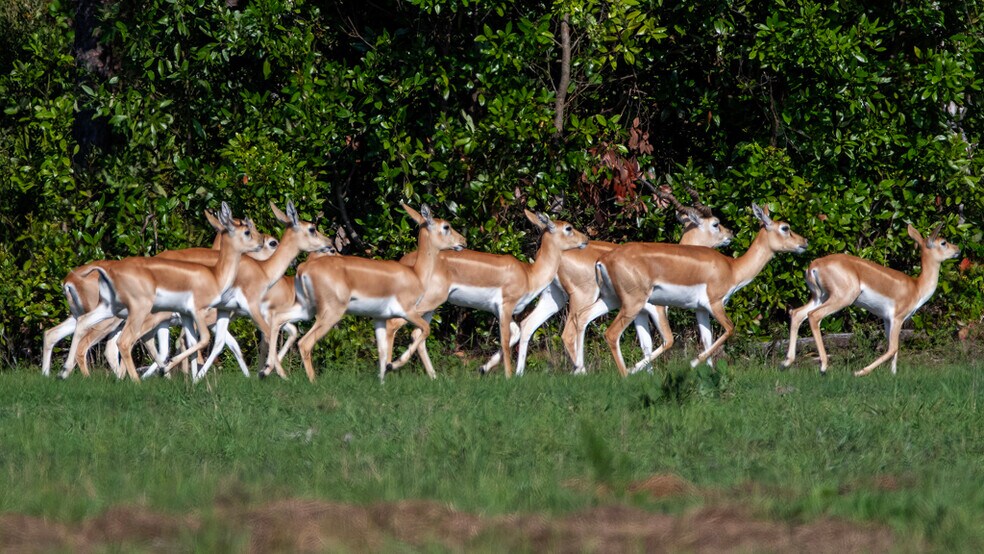 More Photos Of 134 Shoreside Trail, Crescent City Land For Sale