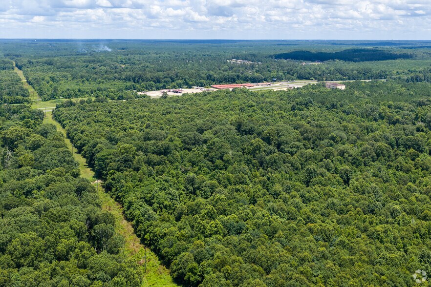 More Photos Of 67 Acres Hwy 171, New Llano Land For Sale