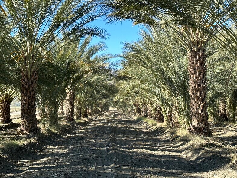 More Photos Of 60504 Jackson St, Thermal Land For Sale