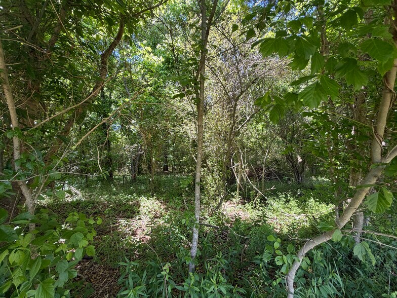 More Photos Of 1593 Old Alabama rd, Taylorsville Land For Sale