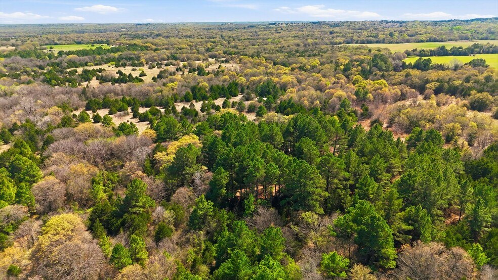 More Photos Of 2548 County Road 2690, Alvord Land For Sale