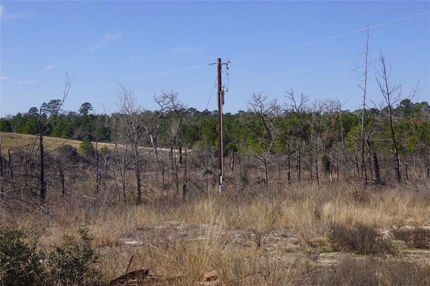 More Photos Of 488 Kelley Rd, Bastrop Land For Sale