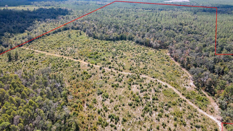 More Photos Of TBD NE 36th Drive Dr, Jasper Land For Sale