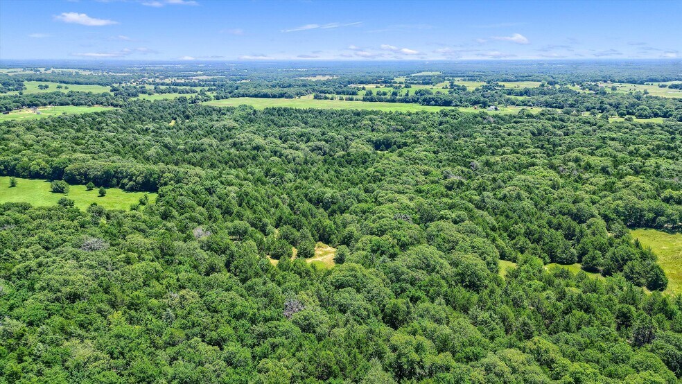 More Photos Of TBD CR 113, Whitesboro Land For Sale